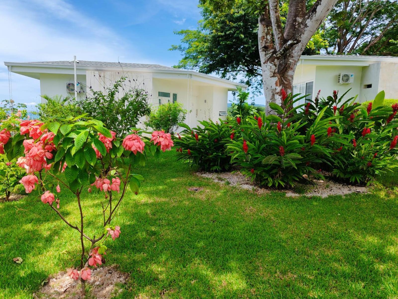 Adeluna Luxury Villas Montezuma Exterior photo